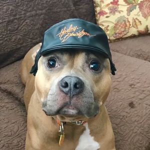 Meet your Posher, Lindsay